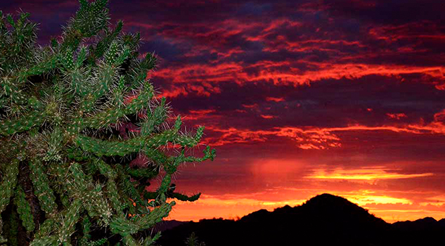 INAH entrega peritaje antropológico a la etnia o´odham en torno a la protección de salinas y sitios sagrados en Bahía de Adair, Sonora INAH ENTREGA PERITAJE ANTROPOLÓGICO