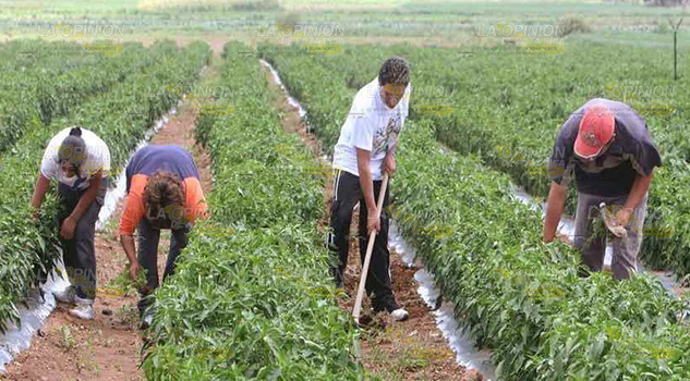 Jornaleros, listos para viajar a Estados Unidos Jornaleros Listos Viajar Estados Unidos