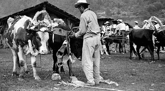 La expresión lingüística y vida cotidiana de cuatro comunidades indígenas, en muestra fotográfica LA EXPRESIÓN LINGÜÍSTICA Y VIDA