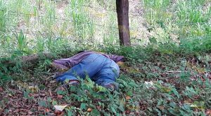 Localizan a hombre sin vida a orillas de la carretera México-Tampico