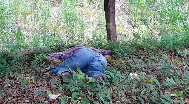 Localizan a hombre sin vida a orillas de la carretera México-Tampico