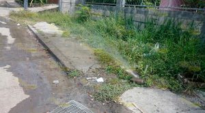 CAEV sigue sin acudir a reparar fuga reportada Reporte Fuga CAEV