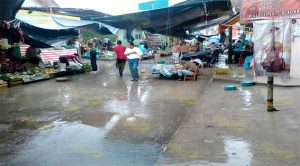 Sin daños en la Huasteca Hidalguense