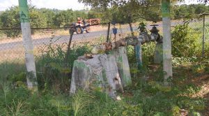 Culpan a CAEV Culpan Caev Tihuatlán