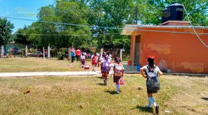 Evacuan primaria por ataque de abejas Tihuatlán Evacuan Primaria Ataque Abejas