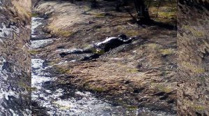 Tragedia en Ixtaczoquitlán