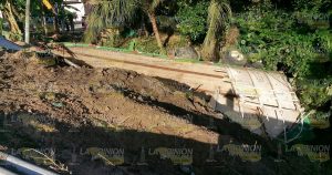 Tráiler vuelca y tira 40 de Trigo