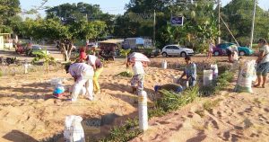 Tráiler vuelca y tira 40 de Trigo