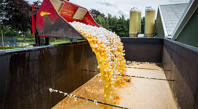 Una cadena de supermercados prohíbe en Alemania la venta de huevos llegados de Holanda Una cadena de supermercados prohíbe en Alemania la venta de huevos llegados de Holanda