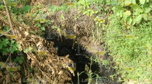 Sin sanear área afectada por aceite afectadosinresolver1