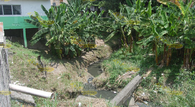 Usan bacterias para sanear los arroyos bacteriasexperimento