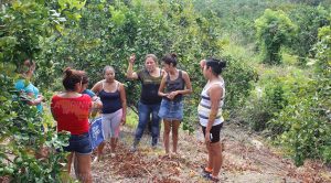 2 Mujeres Ejecutadas