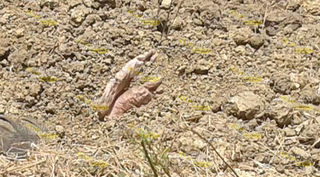 Hallan enterrado cadáver en la parcela 62