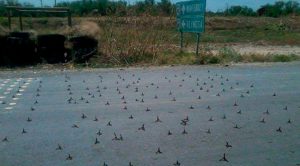 Violento amanecer en Reynosa