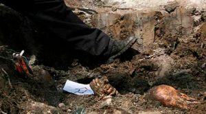 Hallan una fosa con 300 restos óseos