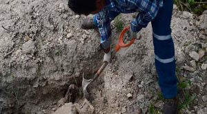 Hallan una fosa con 300 restos óseos