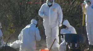 Hallan una fosa con 300 restos óseos