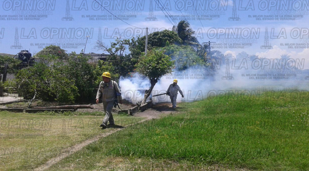 Previenen casos endémicos por moscos fumigancontra