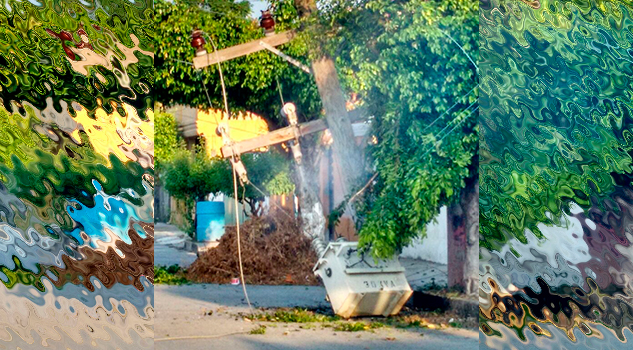 Causa terror caida de transformador