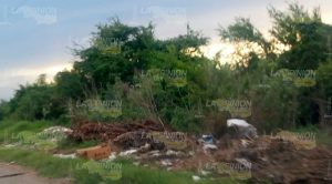 Por falta de fumigación, familias a merced del dengue