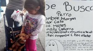 Gracias a este cartel, una niña encontró a su perrito Morgan