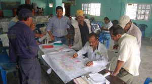 Afecta plaga 60% de la citricultura