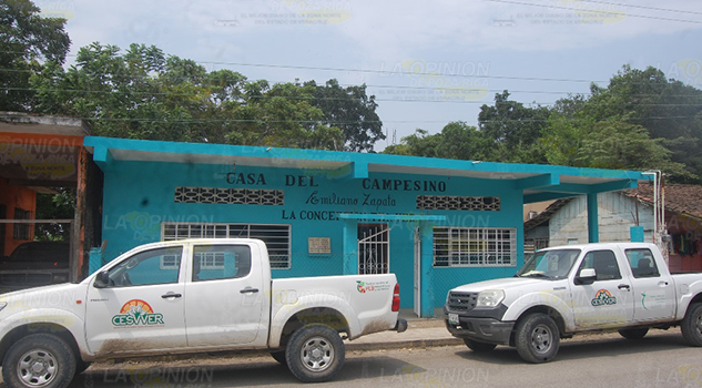 Afecta plaga 60% de la citricultura plagaspreocupa2