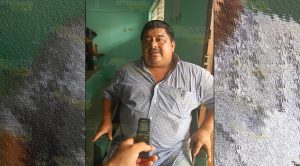 Afecta plaga 60% de la citricultura