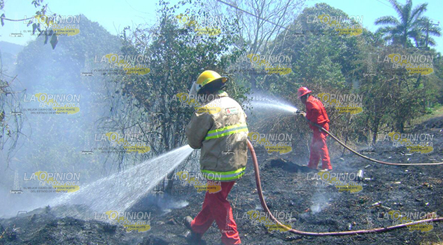 Preocupan incendios Forestales a autoridades