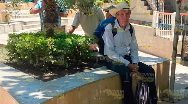 Retrasado el pago del programa 65 y mas