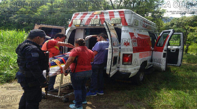 Se quedan esperando la tortilla tortillasadios