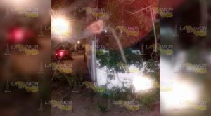 Cae árbol sobre autobús Autobús Árbol Cae