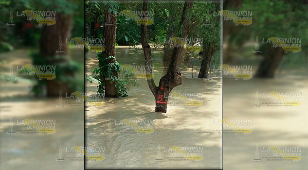 Alarma el caudal del arroyo de El Ídolo Alarma el