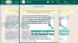 Así son los planes de WhatsApp para sus cuentas de empresas