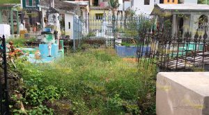 Ataúdes a cielo abierto Ataúdes a cielo abierto1