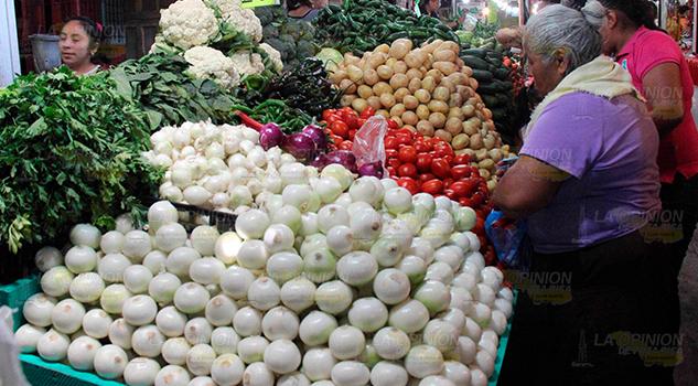 Básicos a la alza Básicos a la alza