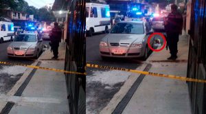 Tiran 3 cuerpos decapitados en Parque de Xalapa