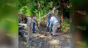 Capturan peligrosa víbora en un domicilio Capturan Peligrosa Víbora Domicilio