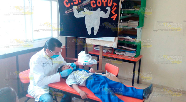 Efectuán actividades preventivas de salud Efectúan Actividades Preventivas Salud