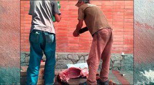 El hambre ha llevado a comer hasta perros de la calle (Fotos fuertes)