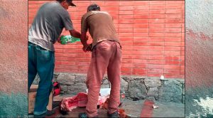 El hambre ha llevado a comer hasta perros de la calle (Fotos fuertes)