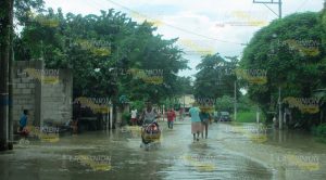 Álamo en estado de emergencia Álamo Estado Emergencia