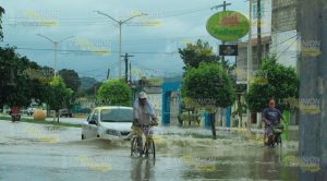 Álamo en estado de emergencia Álamo Estado Emergencia