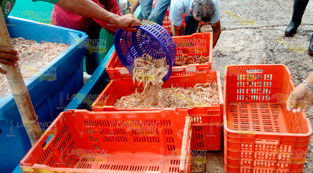 Katia también genera beneficios Katia también genera beneficios1