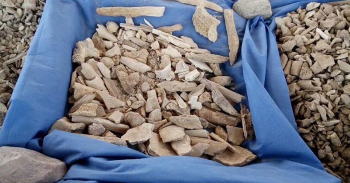 La huella que dejó "El Pozolero" en Tijuana La huella que