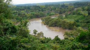 Sin afectaciones por lluvias Sin Afectaciones Lluvias