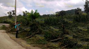 Lluvias afectan más de 13 casas