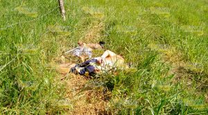 Ejecutan a tres Localizan Cuerpos Potrero Rancho El Conejo