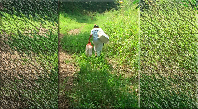 Los de abajo en la Cristo Rey Los de abajo en la Cristo Rey