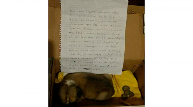 Niña se ve obligada a abandonar a su perra y deja carta: "Te dejo 8 pesos y dile que la quiero" Niña se ve obligada a abandonar a su perra y deja carta Te dejo 8 pesos y dile que la quiero